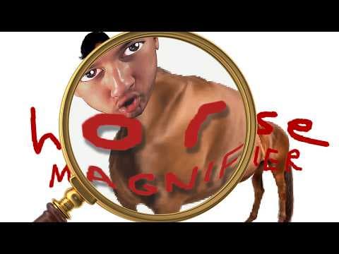 HORSE MAGNIFIER