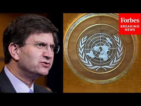 Schneider To Witnesses: Should US Be More Active In UN If Sec.-General Race Has A 'Positive Result?'