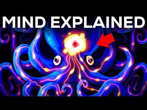 Let’s Explore Your Most Secret Place: Your Mind