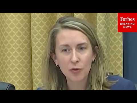 'Putting Our Money Where Our Mouth Is': Hillary Scholten Demands Faster Work To Deter CCP Influence