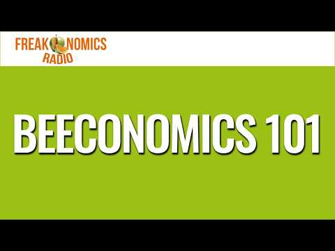 670. Beeconomics 101 | Freakonomics Radio