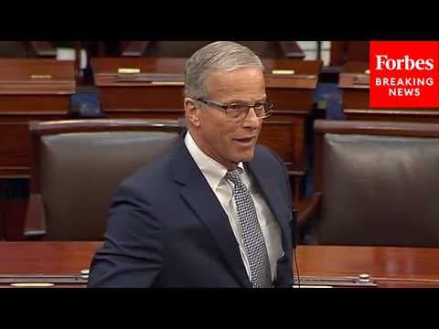 BREAKING: Senate Passes 45-Day FISA Extension In Rejection Of House-Backed 3-Year Proposal