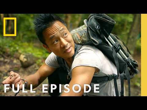 Secrets of the Snake Altar (Full Episode) | Lost Treasures of the Maya | National Geographic