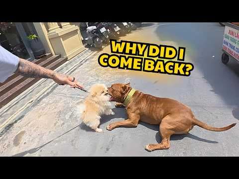 I Went Back to Vietnam… Then This Happened