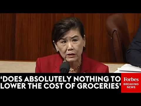 Judy Chu Blasts GOP For Attempting To 'Expand Their Lawless Deportation Machine' With Funding Bill
