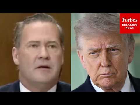 'We Have Had Some Notable Successes On Gaza': Mike Waltz Praises Trump Over Gaza Peace Deal