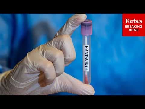 What Are The Symptoms For Hantavirus And How Long Can They Take To Appear? Health Reporter Explains