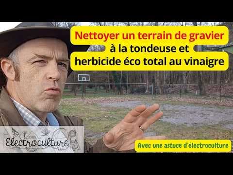 Comment nettoyer un terrain de gravier envahi de feuilles et d'herbes et une astuce d'électroculture
