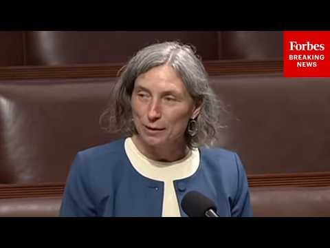 Maxine Dexter Sounds The Alarm On Bill For Undermining Clean Air Act, Potentially Polluting Air