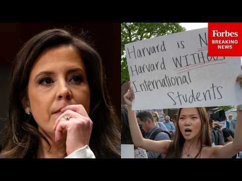 Elise Stefanik: Elite Universities Have 'Fundamentally Lost Their Way' By Deprioritizing US Students
