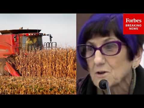 'It Would Raise Costs On American Farmers And Working Families': DeLauro Trashes GOP Ag Budget