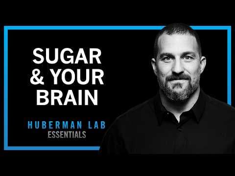 Control Sugar Cravings & Metabolism with Science-Based Tools | Huberman Lab Essentials