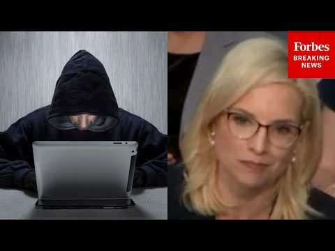 'It's Just Such A Slap In The Face': Ashley Hinson Demands US Confront Fraud More Aggressively