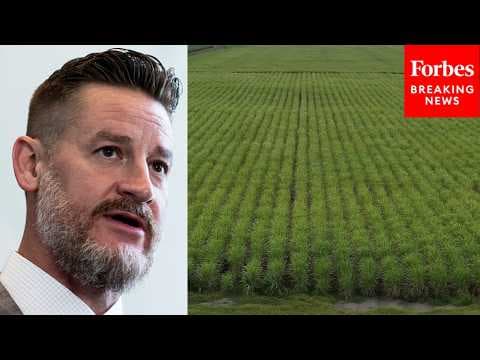 Greg Steube Asks Trump's Trade Rep. About Using Section 301 Tariffs To Protect U.S. Sugar Industry