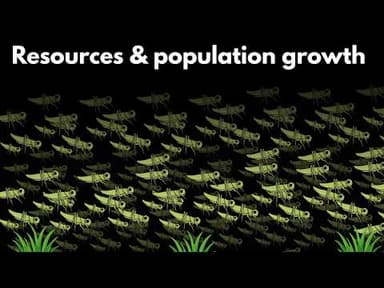Resources and population growth | Middle school Biology | Khan Academy