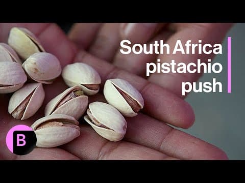 South Africa's Karoo Region Bets on Pistachio Boom