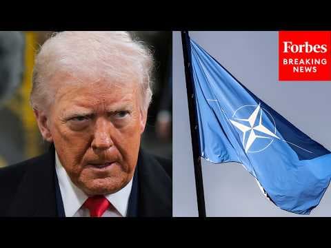 'We Didn't Need It, But We Got None': Trump Blasts NATO Allies For Not Helping US With Iran Attacks