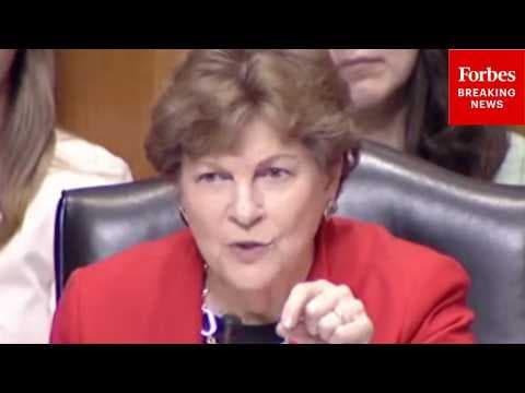 'Really The Result Of The War In Iran': Shaheen Decries Projected Jump In People In Food Crisis
