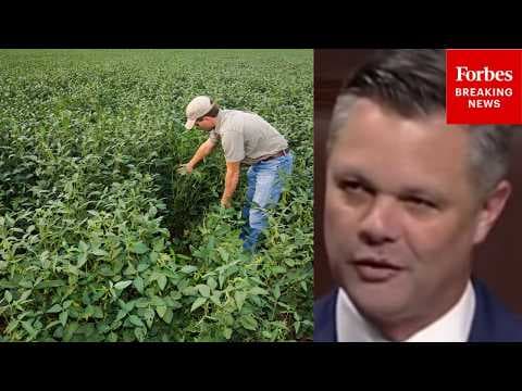 'It's A Win For All Of America': Zach Nunn Praises GOP Farm Bill