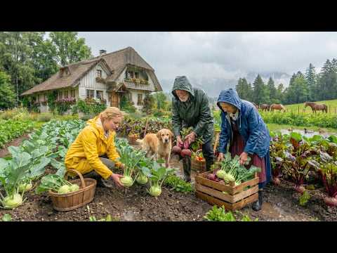 Chill Rainy Village Life | Harvesting Fresh Vegetables in the Most Peaceful Place on Earth