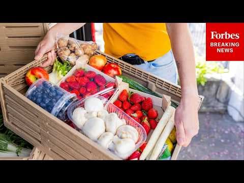 Why Was 2025 The Worst Year For Humanitarian Aid? Oxfam Policy Lead Explains