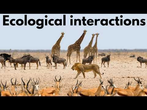 Ecological interactions | Middle school Biology | Khan Academy