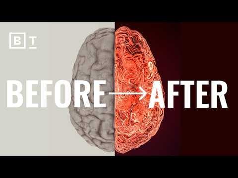 The most important thing you can do for your brain isn't mental