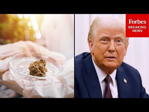 'Big Business Opportunity': Cannabis CEO Celebrates DOJ Easing Regulations On Medical Marijuana