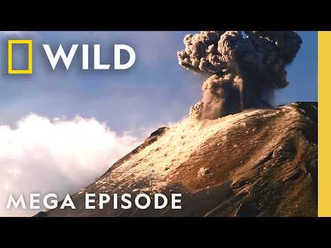 Investigating Beneath Earth's Surface | X-Ray Earth MEGA Episode | Nat Geo Animals