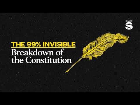 Constitution Breakdown #9: Alondra Nelson