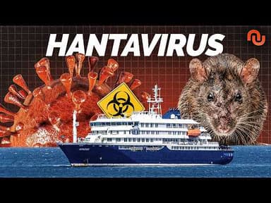 Pourquoi l'Hantavirus ne sera jamais le « prochain Covid » (et tant mieux)
