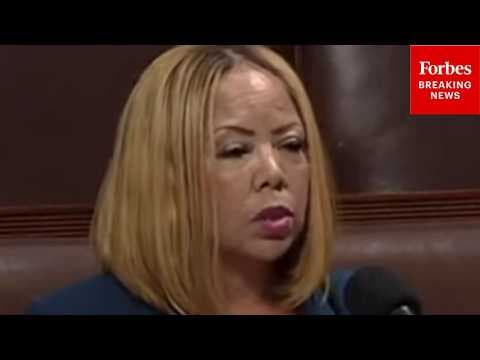 'This Legislation Could Result In More Waste': McBath Rips Bill Changing Rules For Federal Monitors