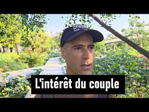 Quel est l'intérêt du couple ?