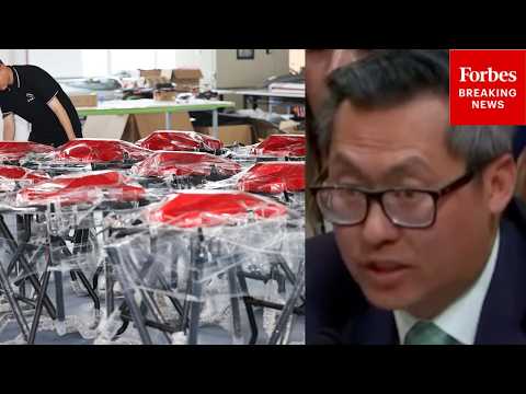 'We Have Seen This Strategy': Fong Decries Low-Cost, Rapid Deployment Strategy Of Chinese Companies