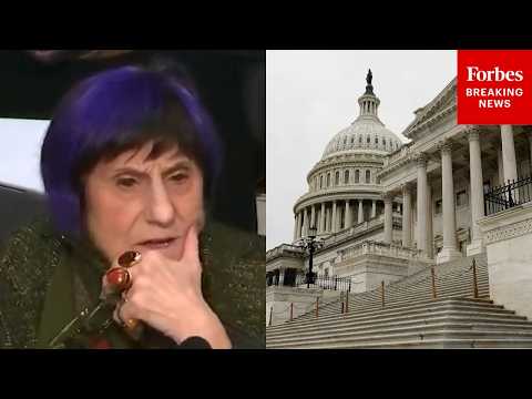 'It's A Piece Of The Safety': Rosa DeLauro Demands More Robust Screening Of Visitors To The Capitol