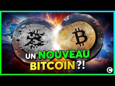 Il va S'EMPARER des bitcoins de Satoshi Nakamoto ?!