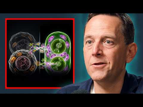 Yamanaka Factors - The Secret To Living Forever?