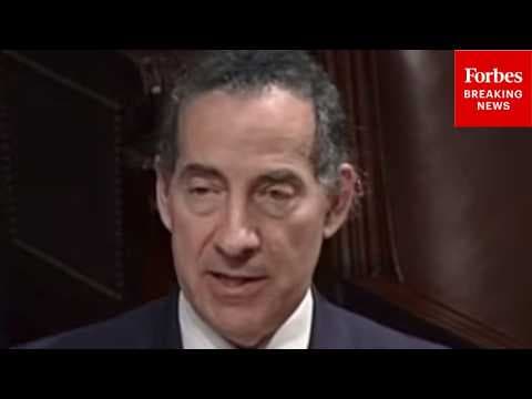 'A Critical Tool For Federal Courts And Federal Judges': Jamie Raskin Defends Federal Monitors
