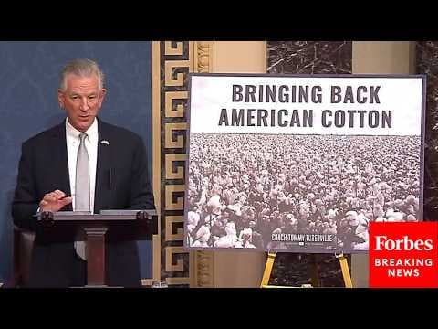 'A Huge National Security Threat': Tommy Tuberville Sounds The Alarm On US Cotton Industry Decline