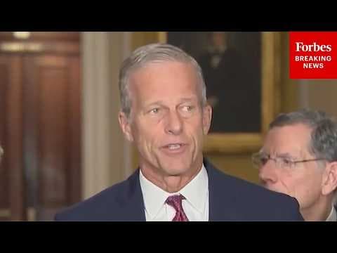 Reporter Asks John Thune Point-Blank: How Long Will House Wait To Pass DHS Funding Bill?