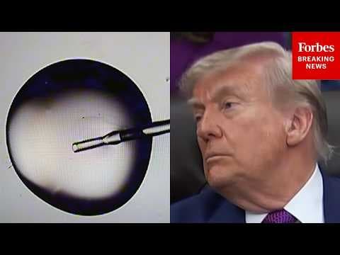 Reporter Asks Trump: Is There An Option For Lower Income Women To Access IVF Treatments?