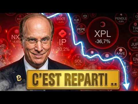 ALTCOINS : SIGNAL DANGEREUX ! 🚨 (C'était pas arrivé depuis longtemps)