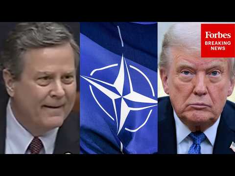 'If We Had That Relationship Talking To Our Wives...': Norcross Decries Trump's Relations With NATO