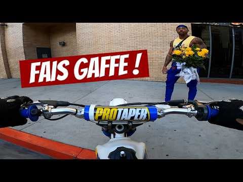 Ce molosse me menace d'une baffe