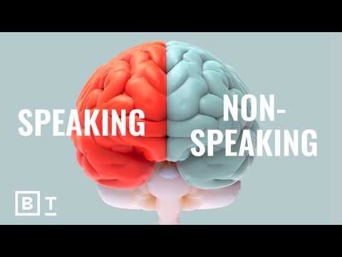 What split-brain experiments revealed about the self