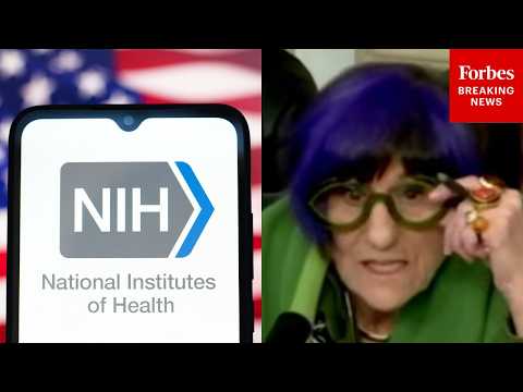 'Researchers Need Confidence That Funding Is Going To Be There': Rosa DeLauro Demands NIH Funding