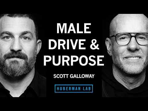 Male Roles, Obligations and Options for Building a Fulfilling Life | Scott Galloway