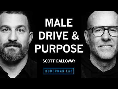 Male Roles, Obligations and Options for Building a Fulfilling Life | Scott Galloway