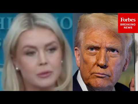 Leavitt Asked What Trump's Vow To End Iranian Civilization Meant: 'What Was Your Understanding?'