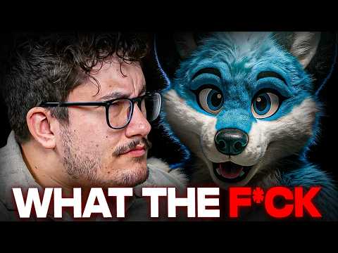 The FIRST Furry On Financial Audit | Caleb Hammer Clips